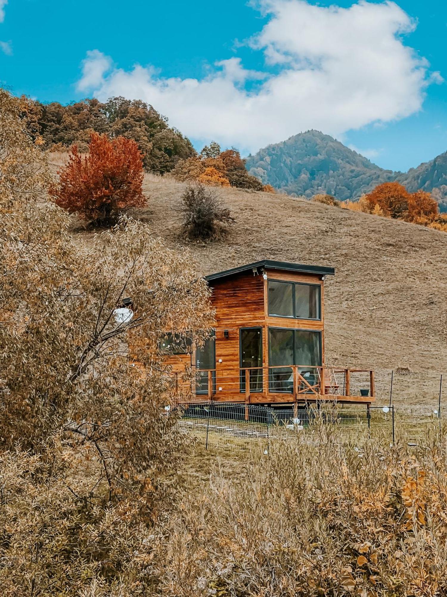 Roua By Noratlas Heritage - Adults Only Buzau Exterior photo
